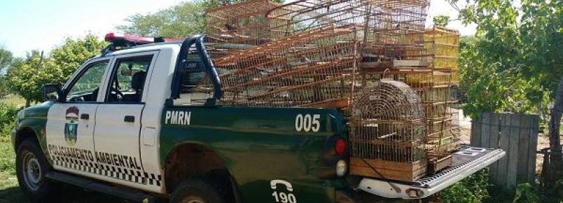Polícia ambiental faz apreensão de diversos animais silvestres na zona rural de Caicó