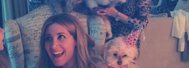 Celebridades comemoram o aniversário de seus cães