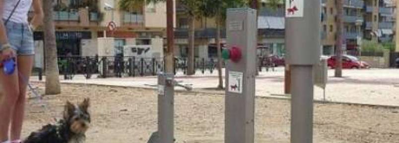 Cidade espanhola instala banheiro público para cachorros