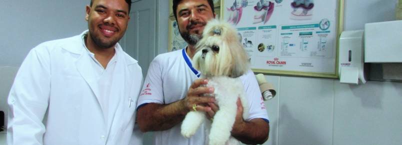 A importância do retorno ao veterinário.