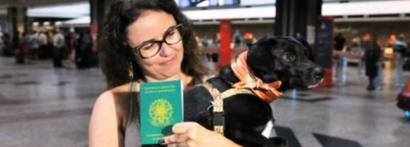 Animais de estimação tiram passaporte para viajar pelo Mercosul