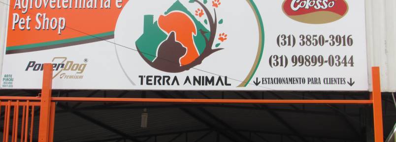 Terra Animal entra pela primeira vez no Encontro dos Apaixonados por Cães de Monlevade (MG)