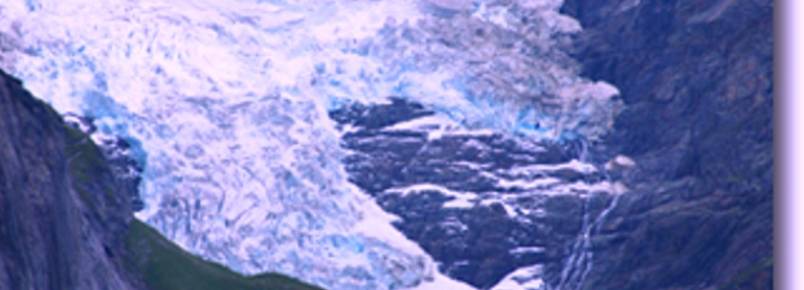 Cientistas usam imagens de satélites para identificar ursos polares no Ártico