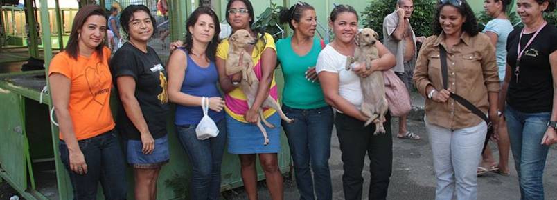 Operação "Circuito dos Mercados" ajuda animais de rua em Cavaleiro