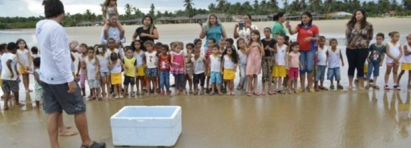 Alunos participam de soltura de filhotes de tartarugas marinha no Pontal do Peba