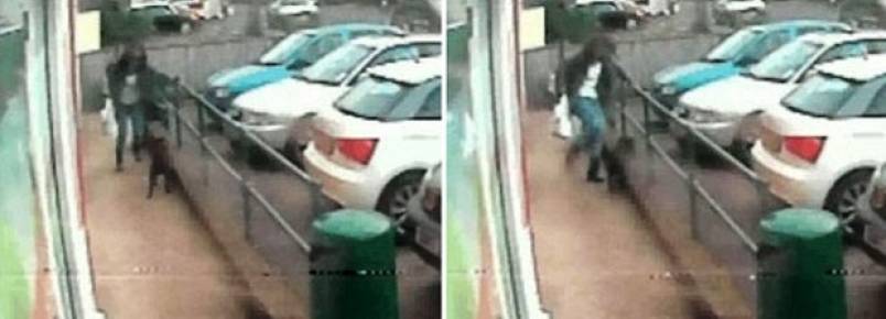 Mulher é filmada fazendo cachorro "voar" com chute