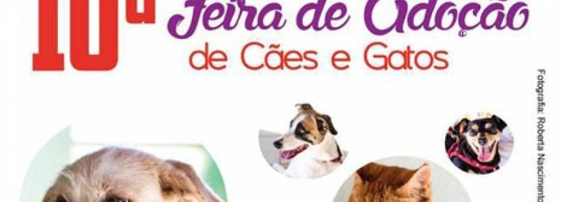ONG realiza Feira de Adoção de animais no próximo domingo (14) em Goiânia