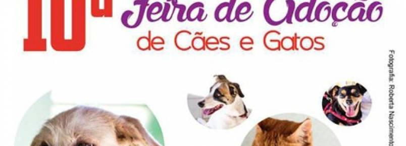 ONG realiza Feira de Adoo de animais no prximo domingo (14) em Goinia