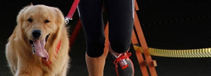 Cãorrida reúne atletas caninos e terá participações de Dr. Pet e Estopinha