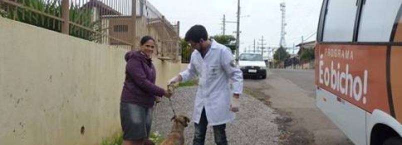 Programa  o Bicho realiza os primeiros atendimentos aos animais do municpio