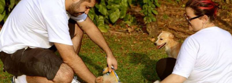 ONGs realizam passeio comunitário e conseguem lar para 4 cães