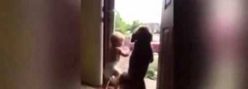 Bebê e cachorrinhos felizes com a chegada do papai