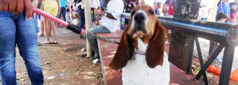 Aika quer um namorado