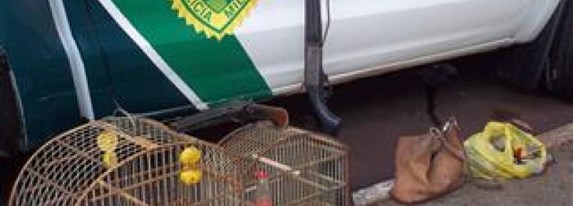 Polícia apreende armas e pássaros silvestres em Mandaguari (PR)