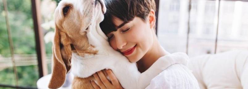 Pets causam efeitos positivos na vida dos donos, revela pesquisa