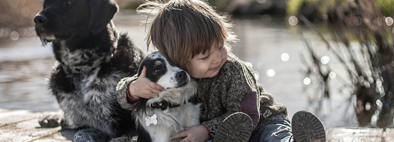 Mãe registra amor de seu filho pelos cães