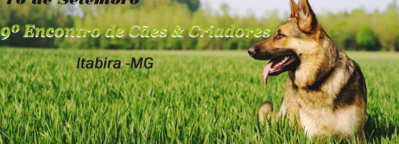 9º Encontro de Cães e Criadores de Itabira, MG, já tem data confirmada