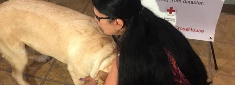 Cachorra liga para bombeiros durante incêndio e salva a vida de sua tutora cega