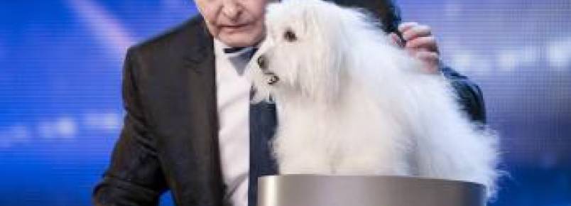 Britain’s Got Talent impressiona o público com ventríloquo e sua cadela falante