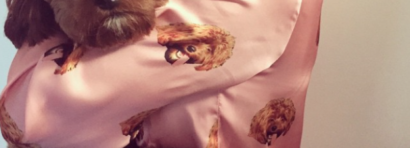 Katy Perry usa pijama estampado com foto do seu cachorro