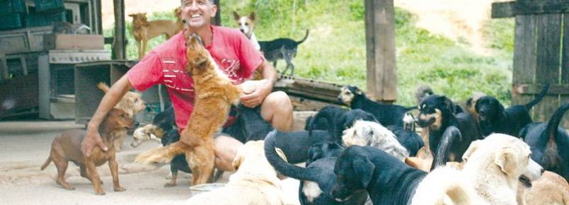 Abrigos informais de animais recebem ajuda do município