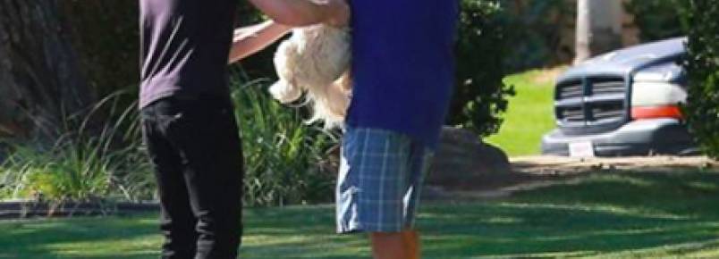 Ryan Gosling socorre cão após quase atropelá-lo