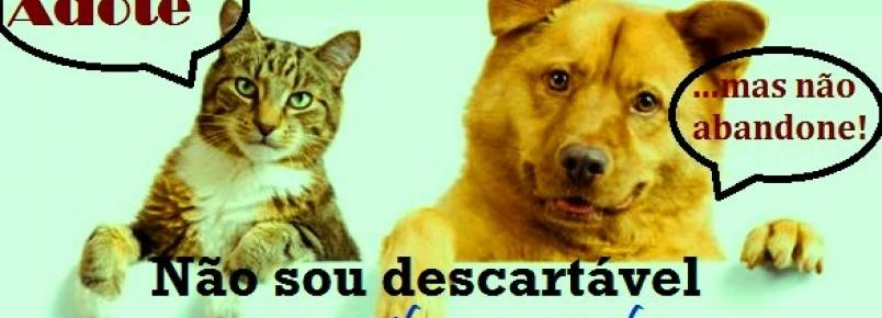 Estudantes de Santo André (SP) têm aula sobre guarda responsável de animais