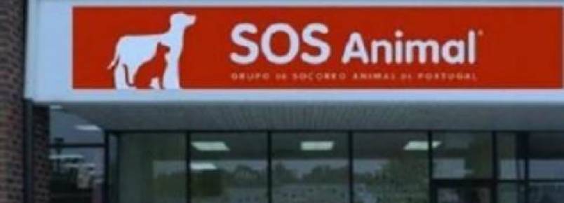 Primeiro hospital veterinário solidário abriu as portas