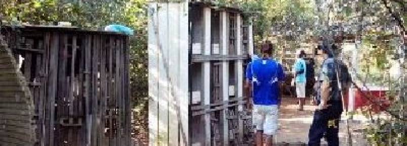 Polícia Ambiental 