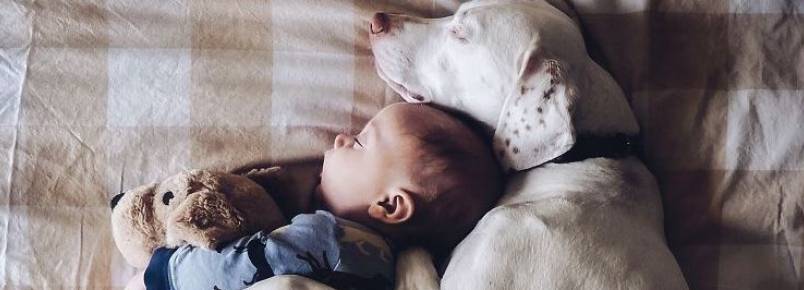 Mães faz ensaio com filho e animais resgatados para incentivar adoção