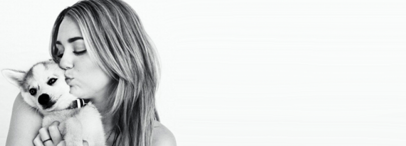 Miley anuncia álbum de covers para ajudar instituição de animais