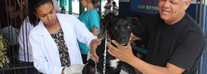 Praia Grande imunizou mais de 2.300 animais contra raiva