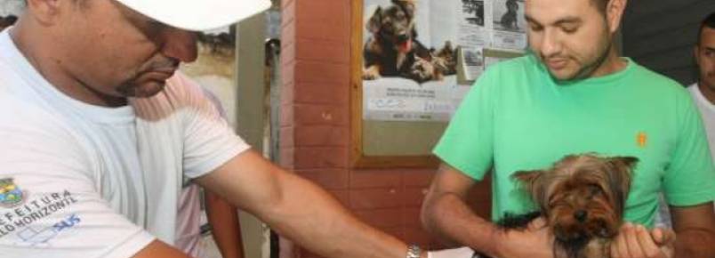 BH recebe campanha de vacinação Antirrábica Animal