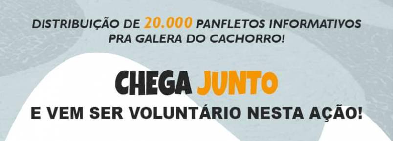 Prefeitura lança campanha de conscientização sobre queimaduras nas patas dos animais