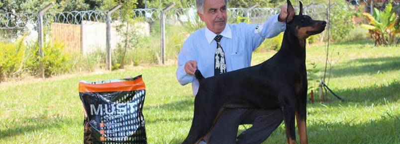 Lindos cães do Milton Cheib brilham em evento neste final de semana em BH