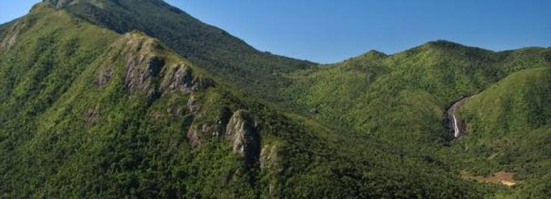 Parque Nacional do Itatiaia abriga mais de 370 espcies de aves. 