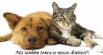 Declaração Universal dos Direitos dos Animais