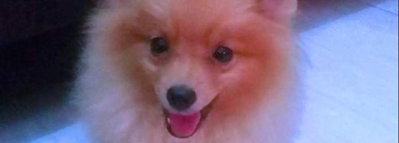 Billy é o novo amiguinho da Sabrina