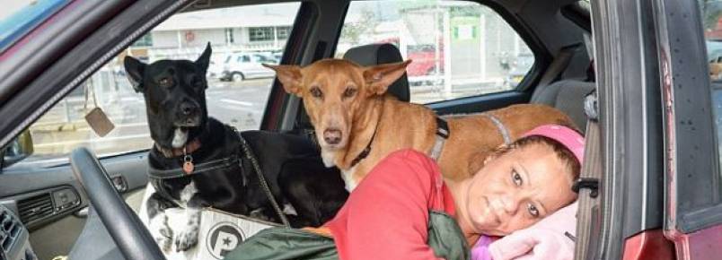 Mulher vive em carro para não abandonar cães
