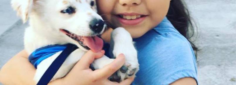 Cachorro surdo é o melhor amigo de uma garota que também tem deficiência auditiva