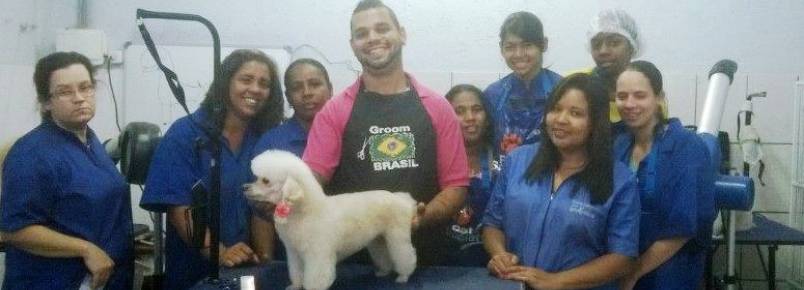 Clinvet oferece curso Top para seus funcionários.