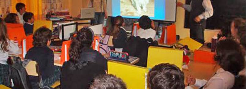 Alunos de colégio de Lagos ajudam animais do Canil Municipal