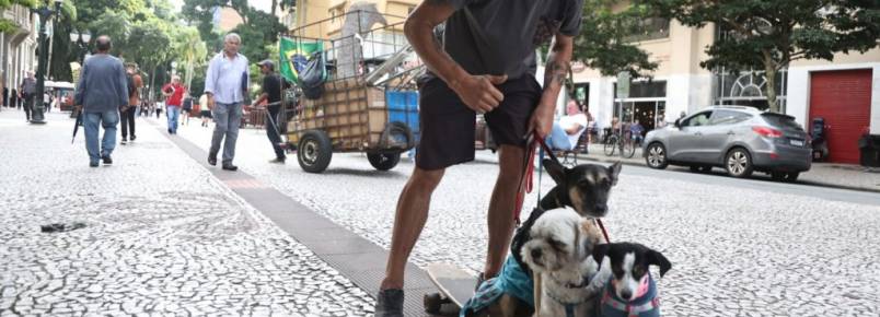 Homem faz sucesso no Centro de Curitiba com famlia de cachorros skatistas