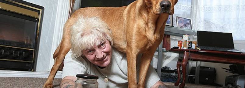 Cachorra faz a manobra de Heimlich e salva a vida de seu tutor que estava engasgado