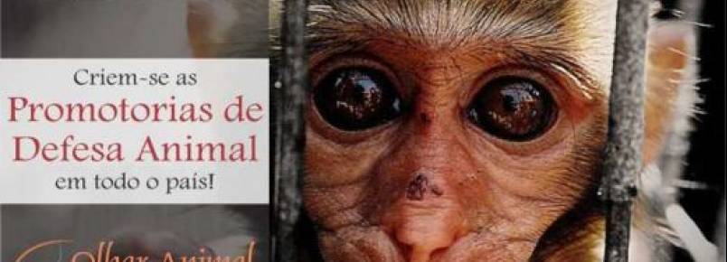 13 mil j assinaram pelas promotorias de defesa animal em todo o Pas