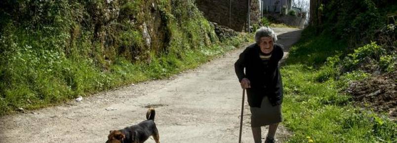 Nova campanha luta pela abolição do aprisionamento de cães