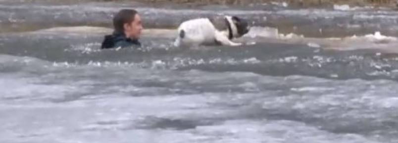 Homem pula em lago congelado para salvar seu cão