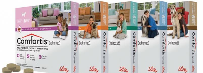 A Bichos e Plantas está com 40% de desconto no Comfortis