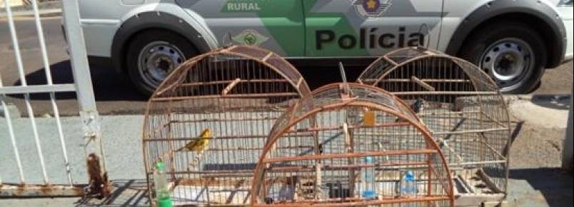 POLÍCIA AMBIENTAL REALIZA OPERAÇÃO E MULTA INFRATORES
