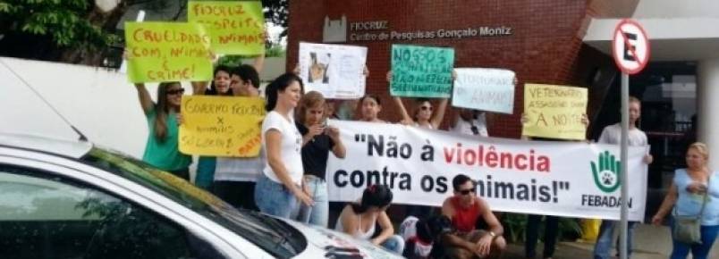 Justia probe Fiocruz de realizar testes em animais em Salvador